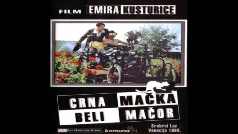Crna mačka beli mačor 1998