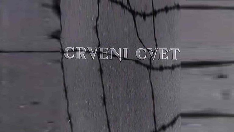 Crveni Cvet 1950