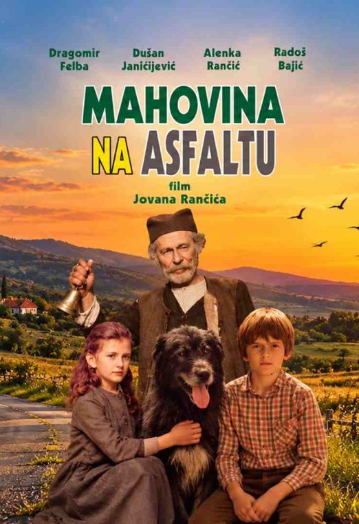 Mahovina na asfaltu 1983