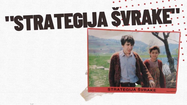 Strategija švrake 1987