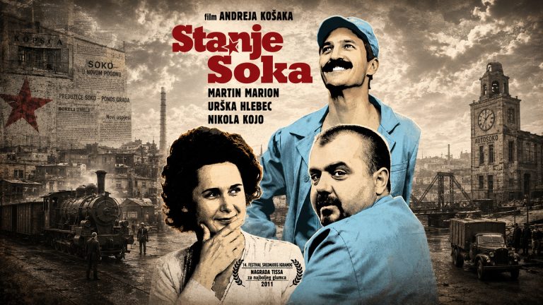Stanje šoka 2011